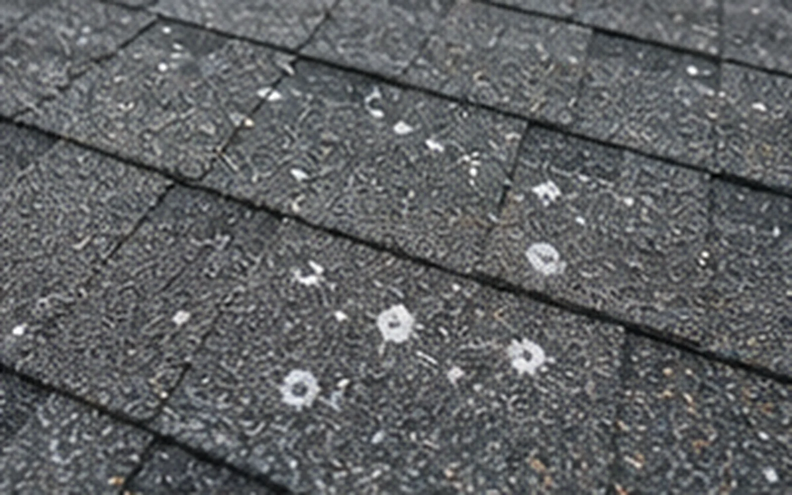 Storm & Hail Damage Roof Repair Springfield MO