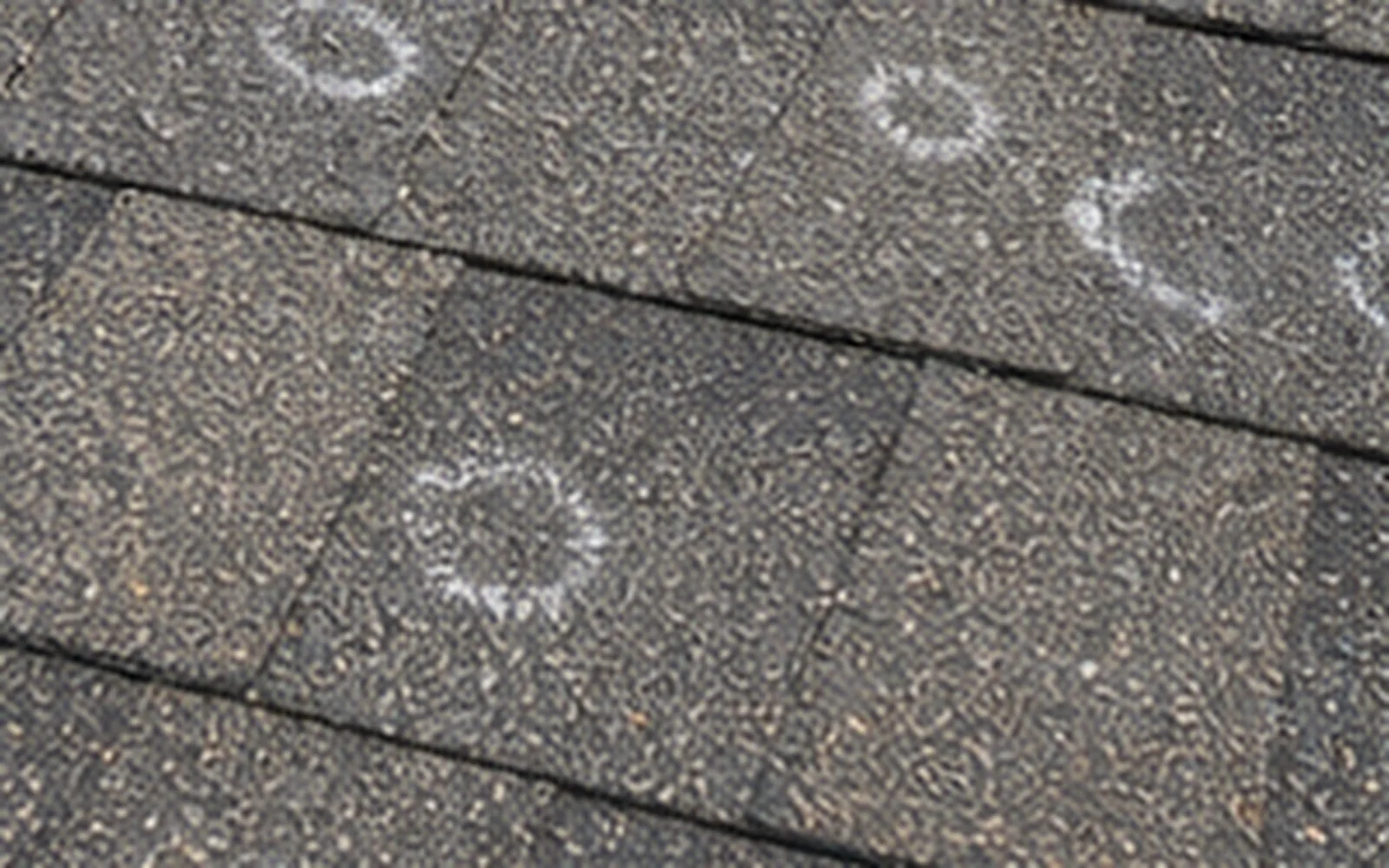 Hail-damaged shingles